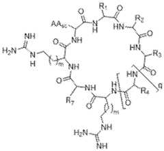 Figure imgf000107_0001