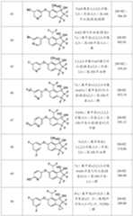Figure PCTCN2021100491-appb-000016