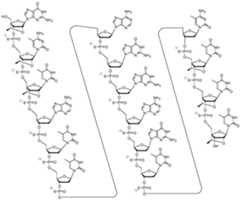 Figure imgf000202_0001