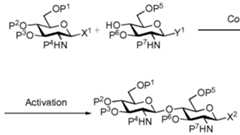 Figure imgf000060_0002
