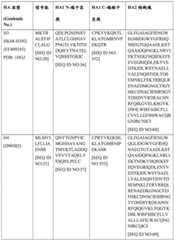 Figure BDA0004089703340001301