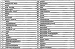 Figure imgf000019_0001