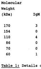 Figure imgf000019_0001
