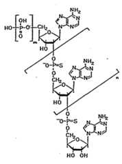 Figure imgf000068_0001
