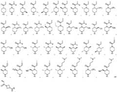 Figure PCTCN2020109681-appb-100092