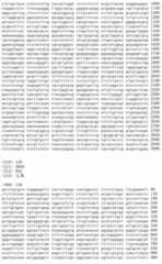 Figure IDA00002091897101501