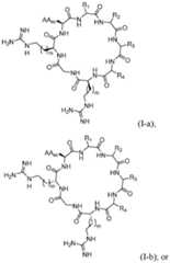 Figure imgf000259_0001