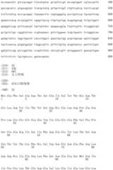Figure IDA0000445251450000381