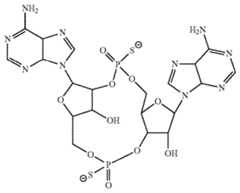Figure imgf000063_0002