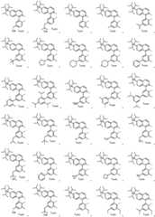 Figure FDA0003048026930000141