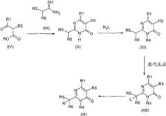 Figure G2008800160643D00161