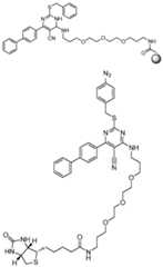 Figure imgf000062_0001