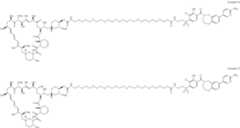 Figure US12048749-20240730-C00252