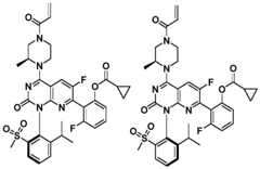 Figure BDA0002861043520001031