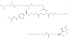 Figure US09766235-20170919-C00022