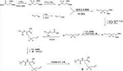 Figure BPA00001530935300722