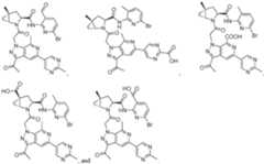 Figure imgf000121_0001