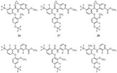 Figure imgf000041_0002