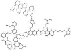 Figure imgf000492_0001