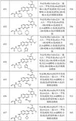 Figure GPA0000263212130002411