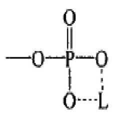 Figure 112009050972017-pat00021