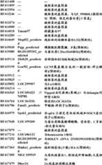 Figure BDA0000057170160001181