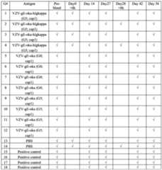 Figure imgf000204_0001