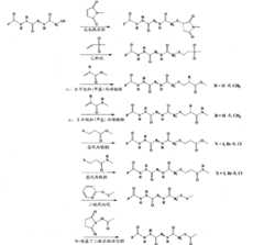 Figure G2006101194141D00101