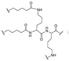 Figure BDA0003018192690001492