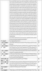 Figure BDA0002508391090001211