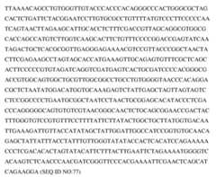 Figure imgf000044_0001