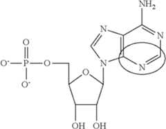 Figure US09675668-20170613-C00088