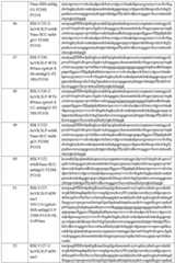 Figure BDA0003246179980001281