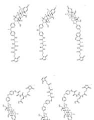 Figure imgf000156_0001