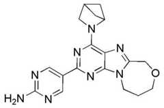 Figure BDA0001402557760002091