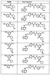Figure 112007011503269-PCT00191