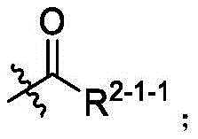 Figure BDA0003361869440000022