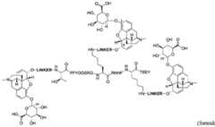 Figure imgf000032_0002