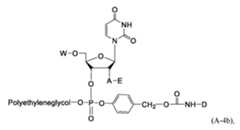 Figure imgf000063_0001