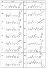 Figure 0007665518000101