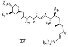Figure imgf000005_0002