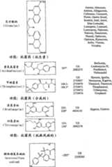 Figure A20068004619500631