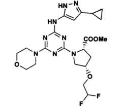 Figure GPA00001066806501081