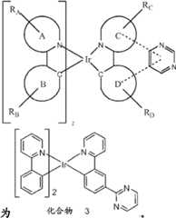 Figure FDA0000057100670000262