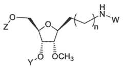 Figure imgf000166_0005