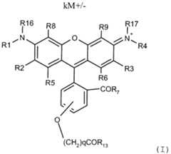 Figure imgf000005_0001