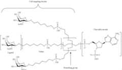 Figure US10683499-20200616-C00105
