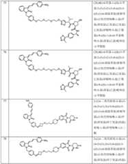 Figure BDA0003027048450003761