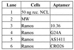 Figure imgf000316_0001
