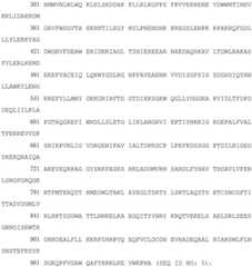 Figure BDA0003627552160000601